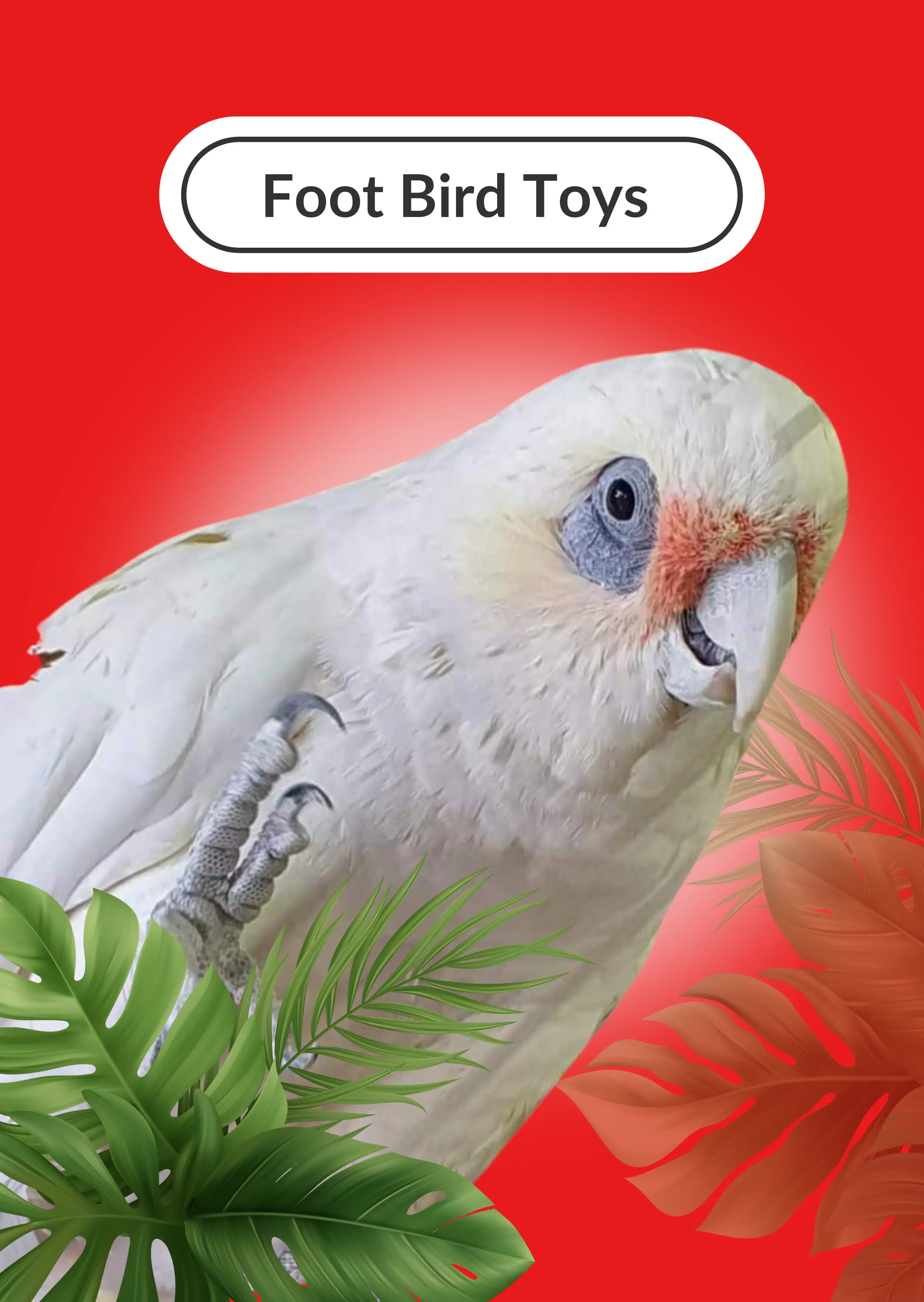 Bird Toys, Budgie Toys, Parrot Toys. Lou Lou Bells Bird Toys Australia