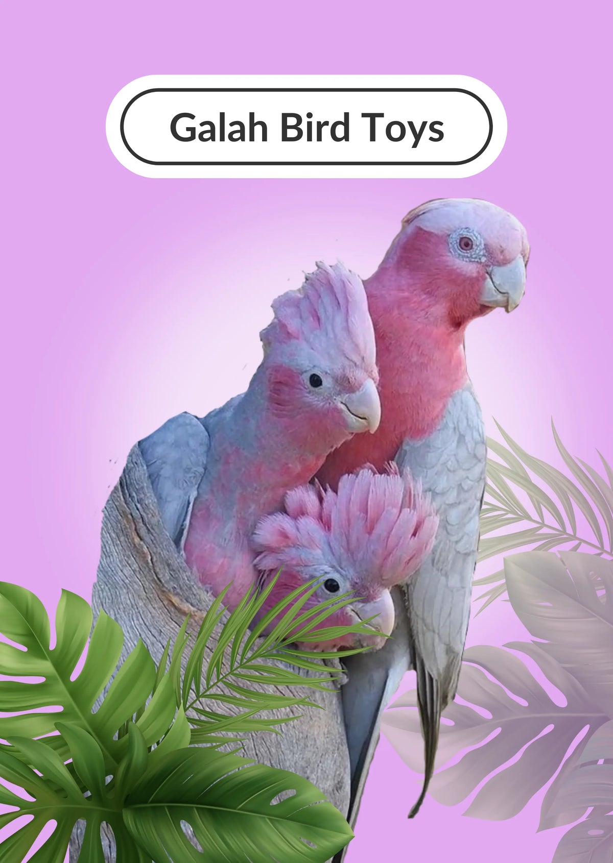 Galah-Bird-Toys Lou Lou Bells Bird Toys