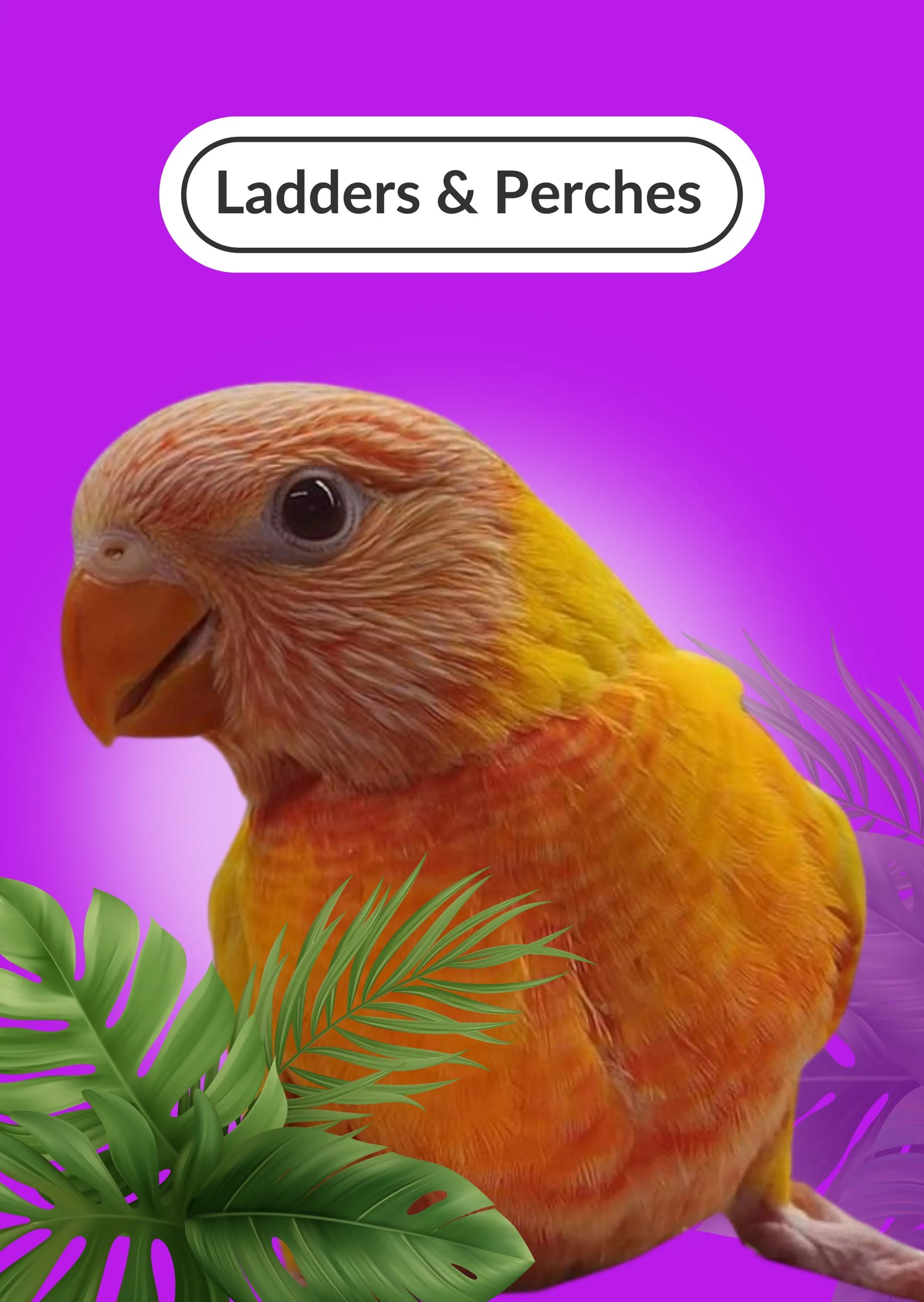 Ladders & Perches Lou Lou Bells Bird Toys