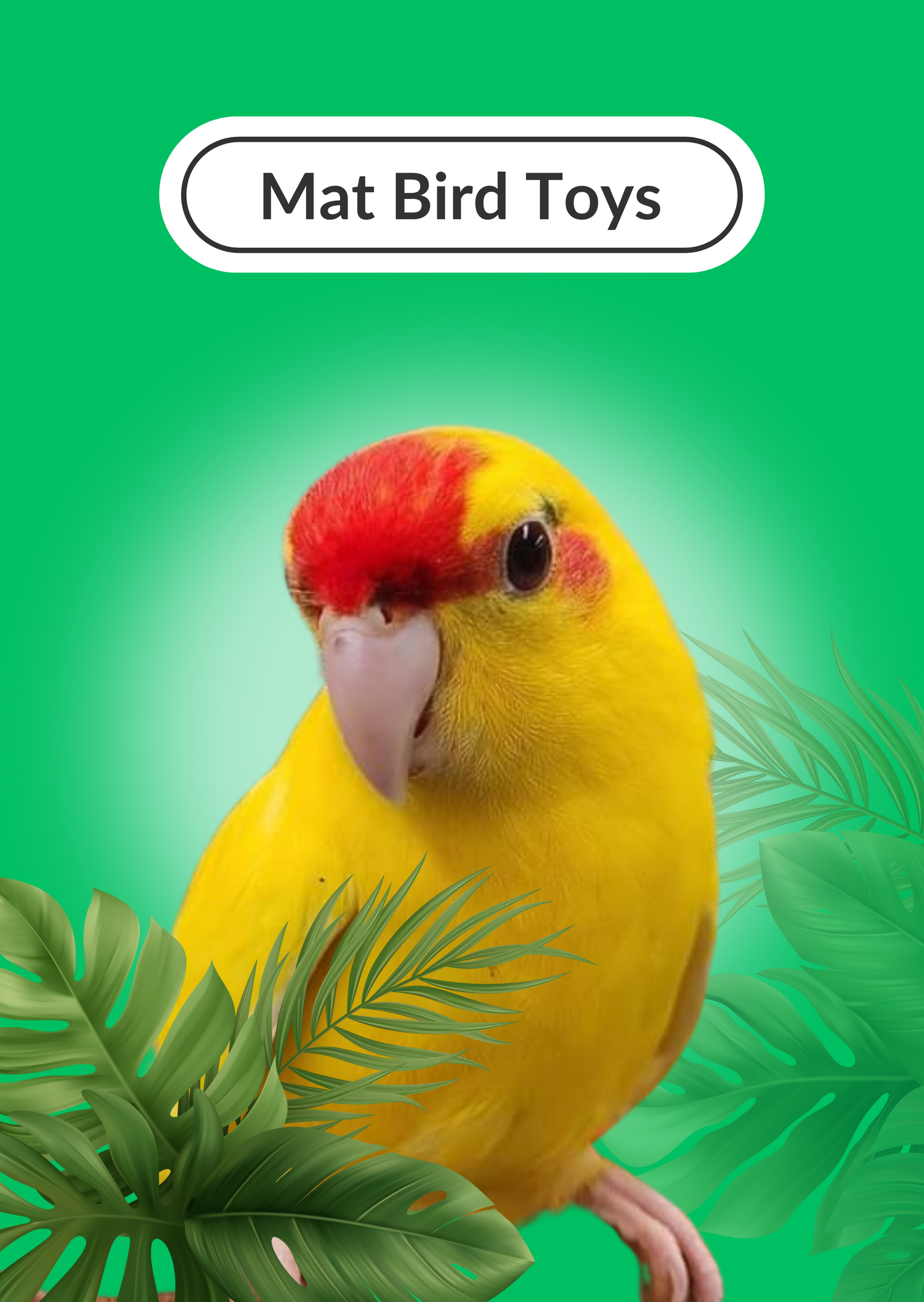 Matt Toys