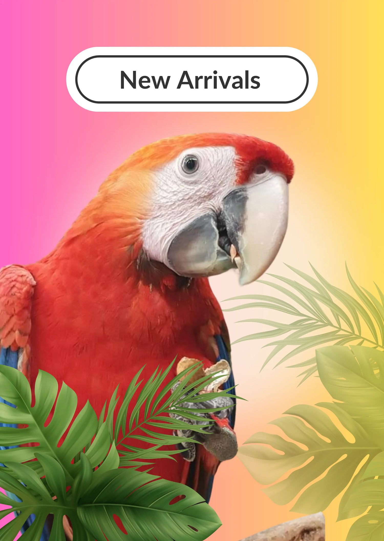 New-Arrivals Lou Lou Bells Bird Toys