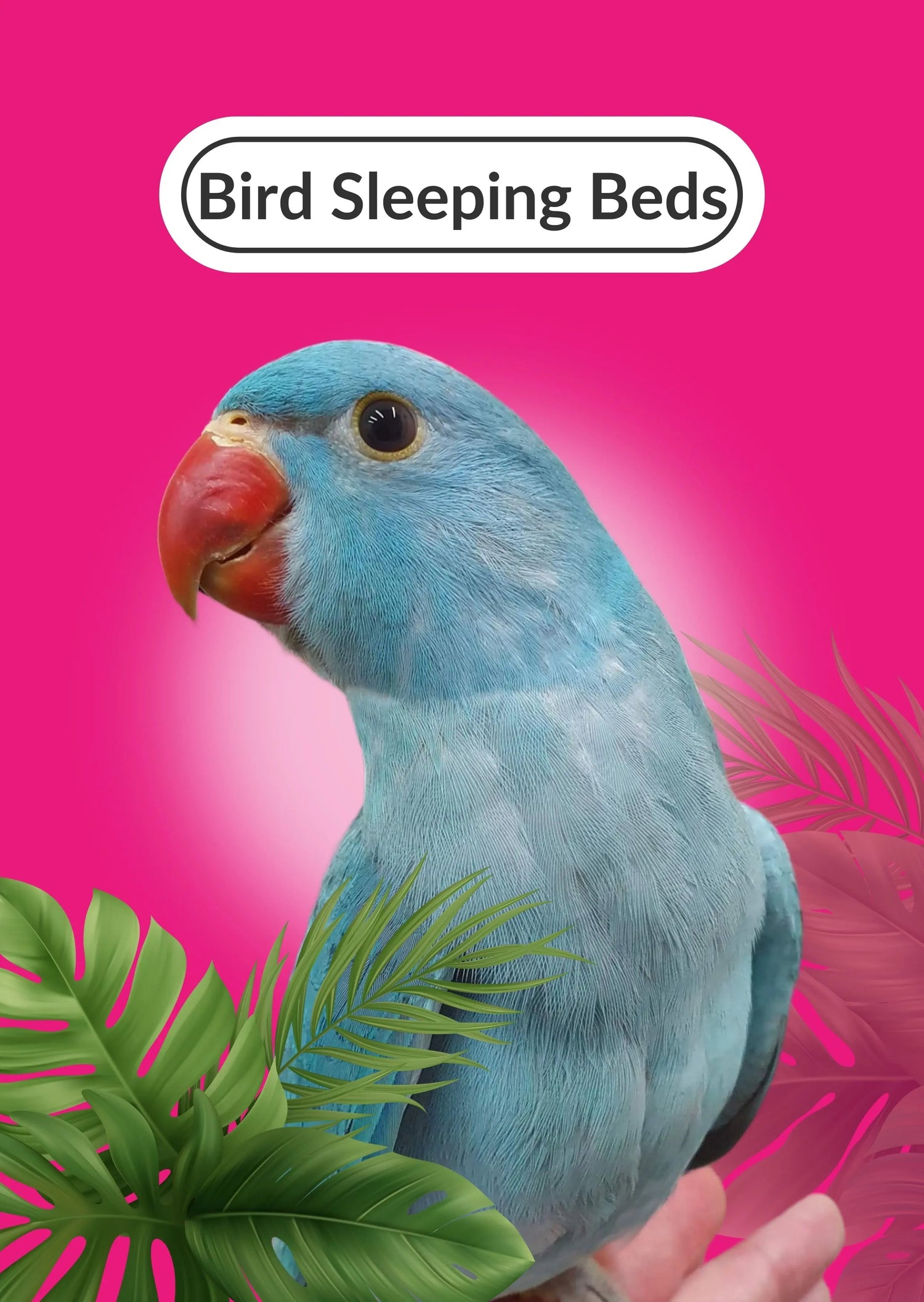 Bird Sleeping Beds Lou Lou Bells Bird Toys