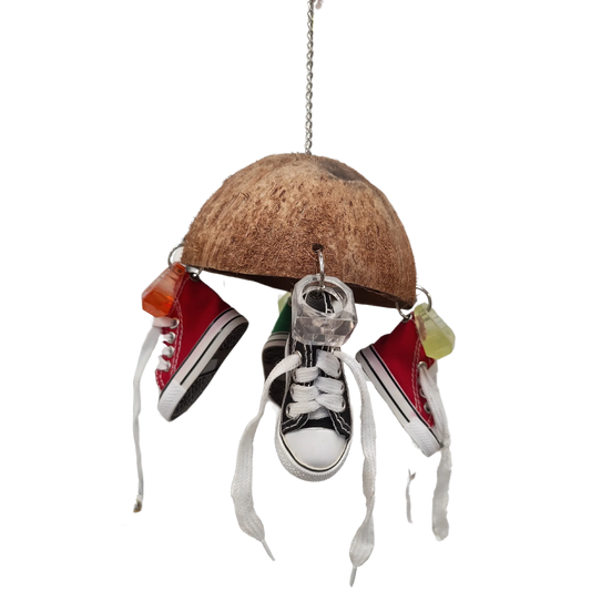 4 Shoes Coconut Bird Toy