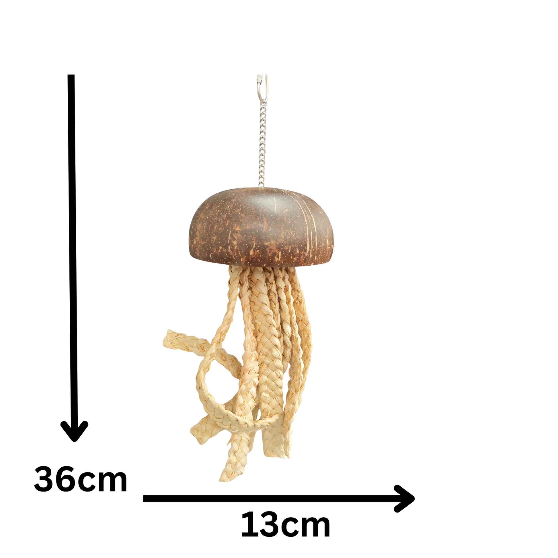 measurements of the coconut jellyfish bird toy