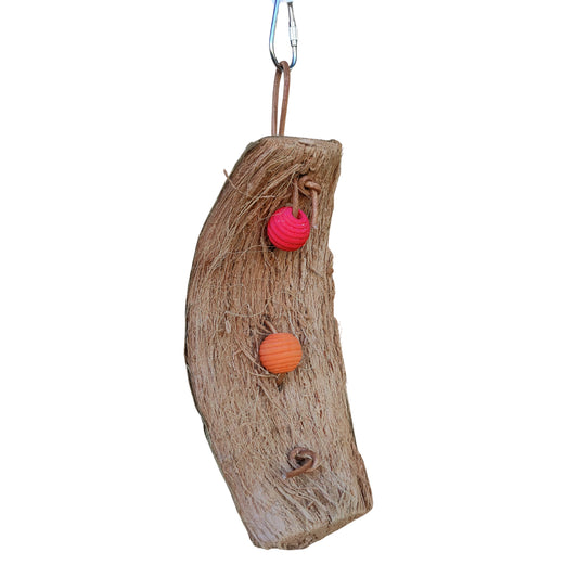 piece of coconut with wood balls weaved into the coconut bird toy