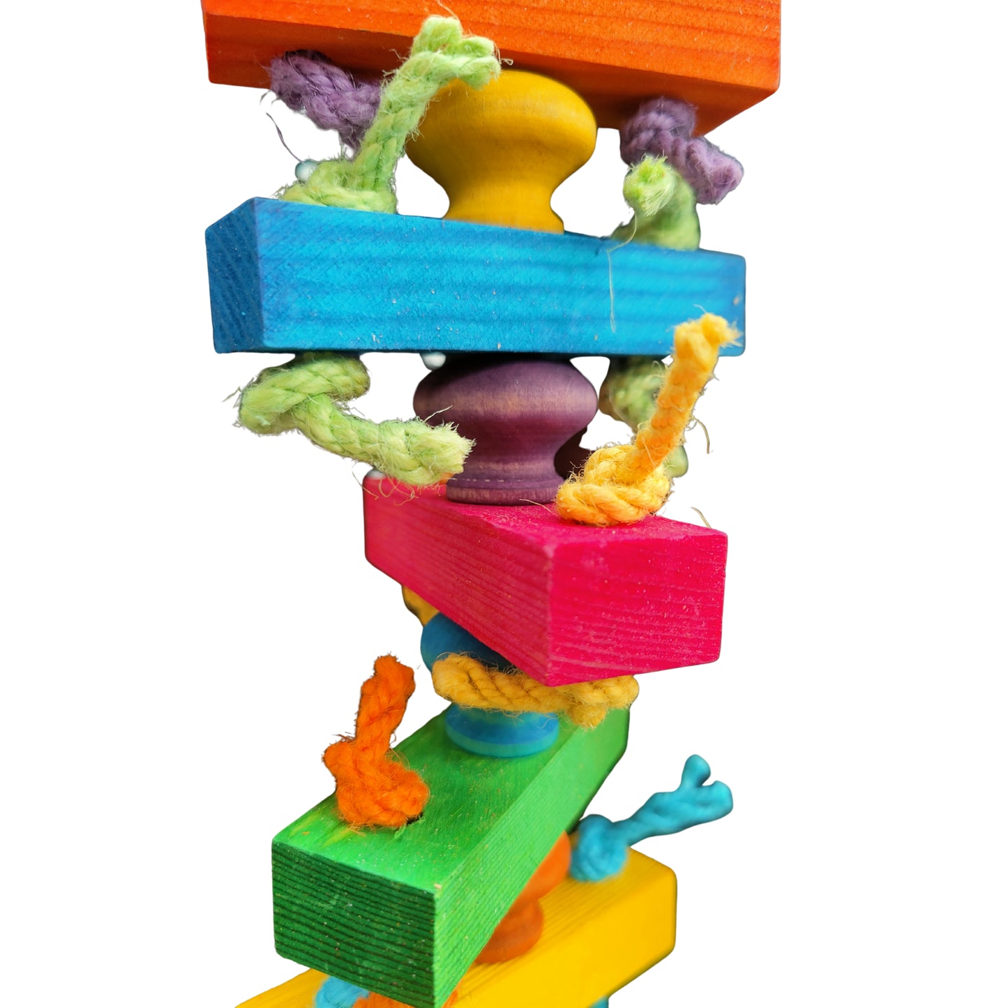 close up of the coloured door knob bird toy