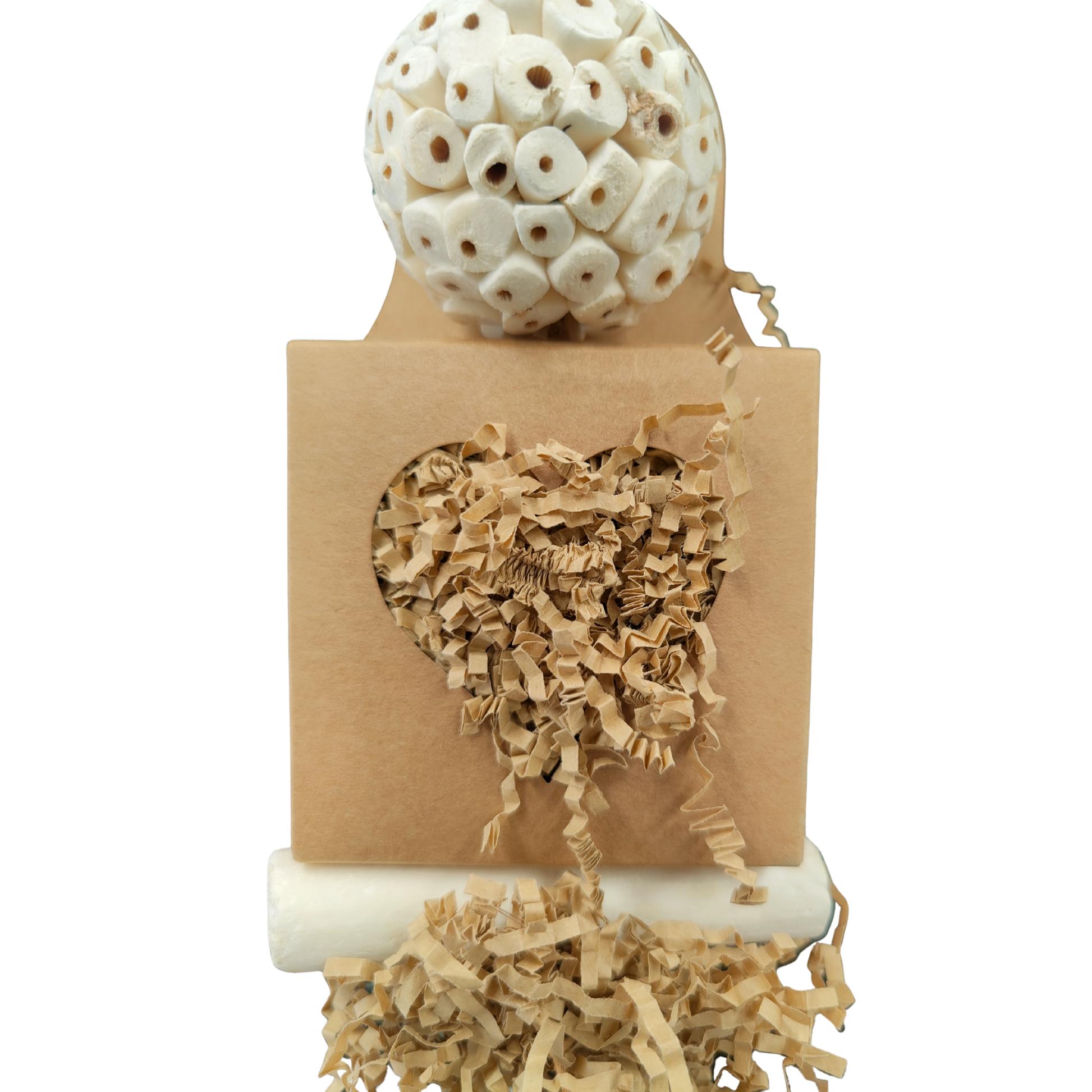 close up of the galaxy box bird toy