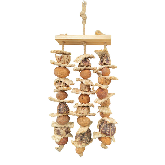 Bird toy made of natural materials like mahogony pieces and nuts