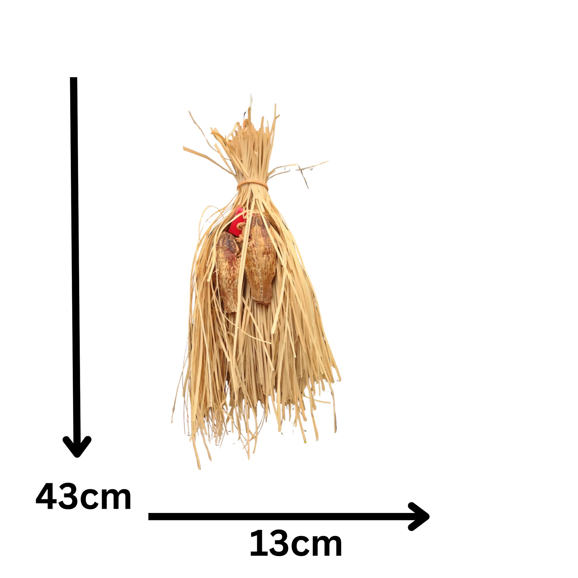 measurement of the mahogany treats bid toy