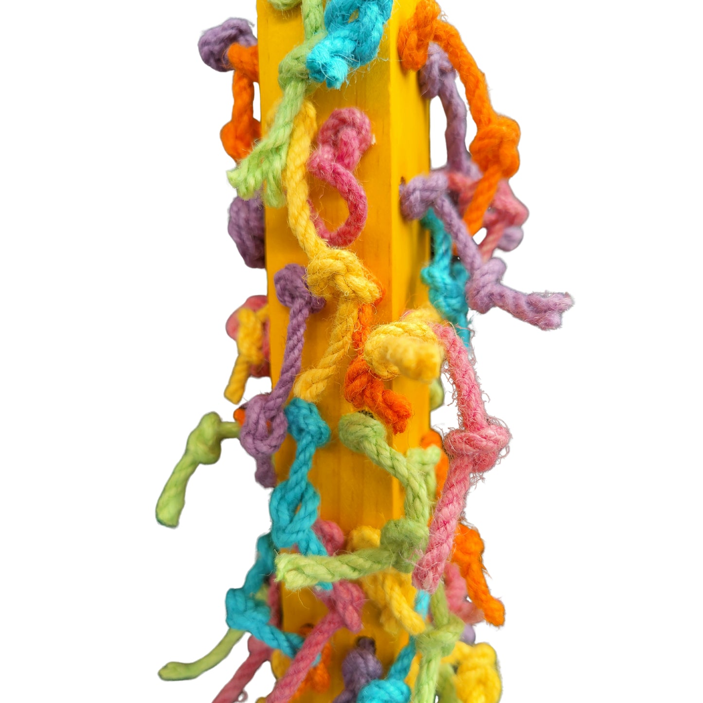 close up of the knotty bird toy