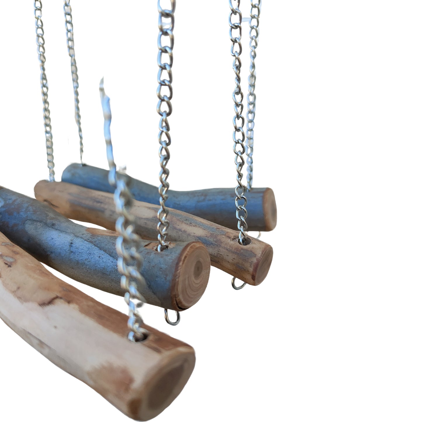 variety of natural swings