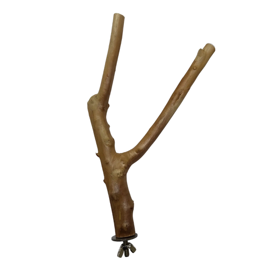 Natural Cage Perch
Easily attaches to the side of your cage. This 25 cm natural perch helps keep your bird’s feet healthy by encouraging exercise through varying branch thickness.
