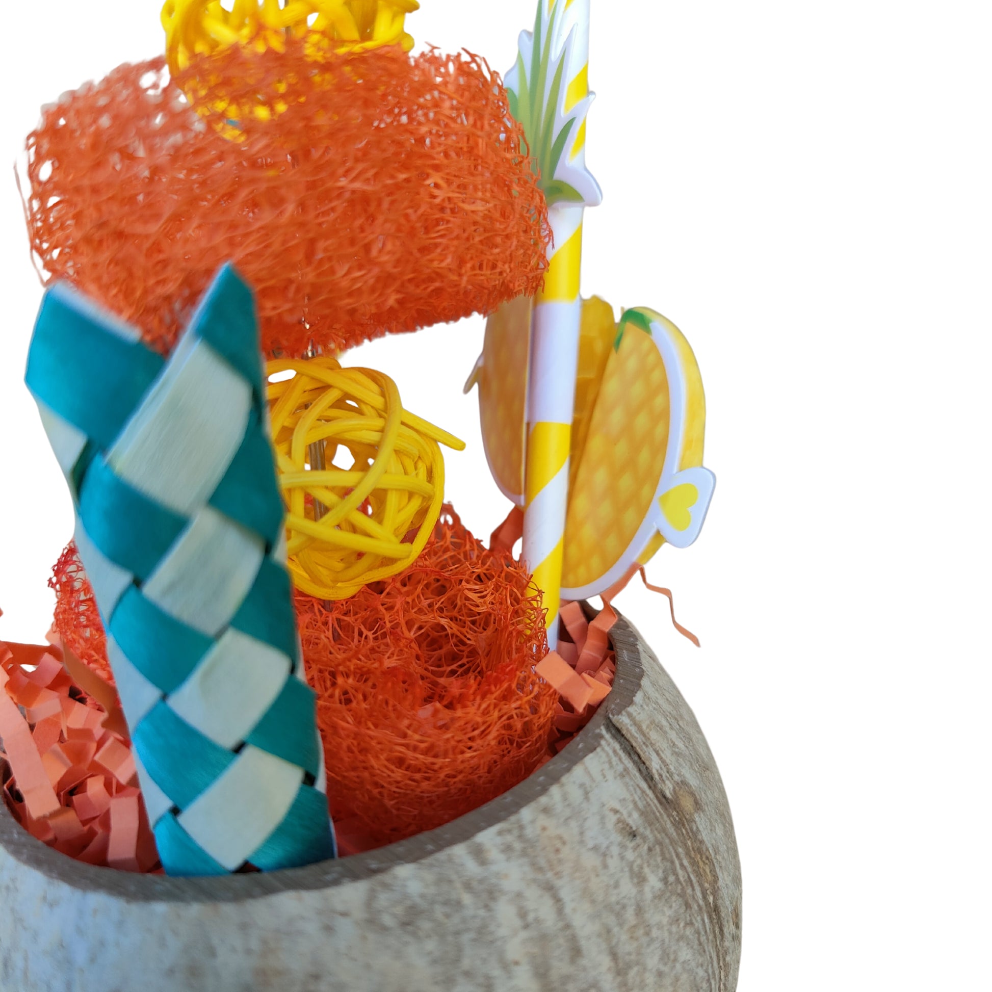 close up of the pinacolda bird toy