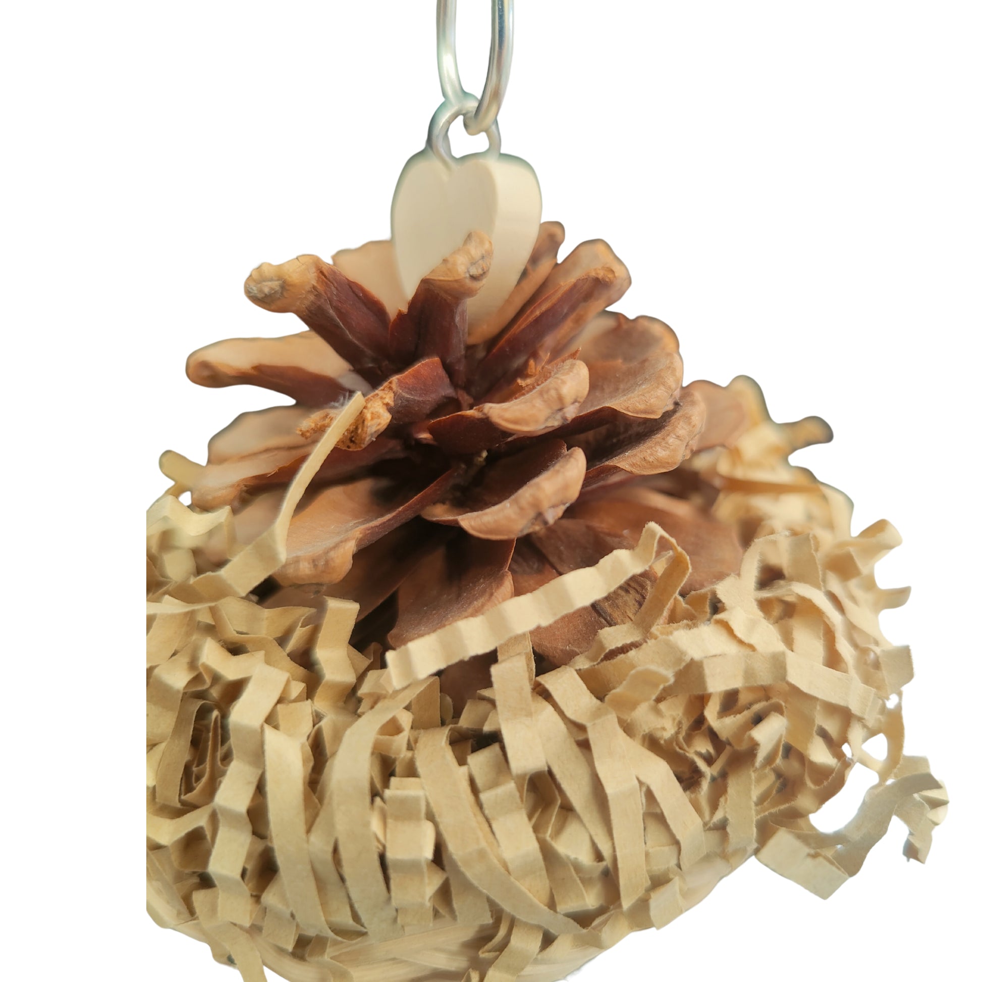 close up of the pine topper bird toy