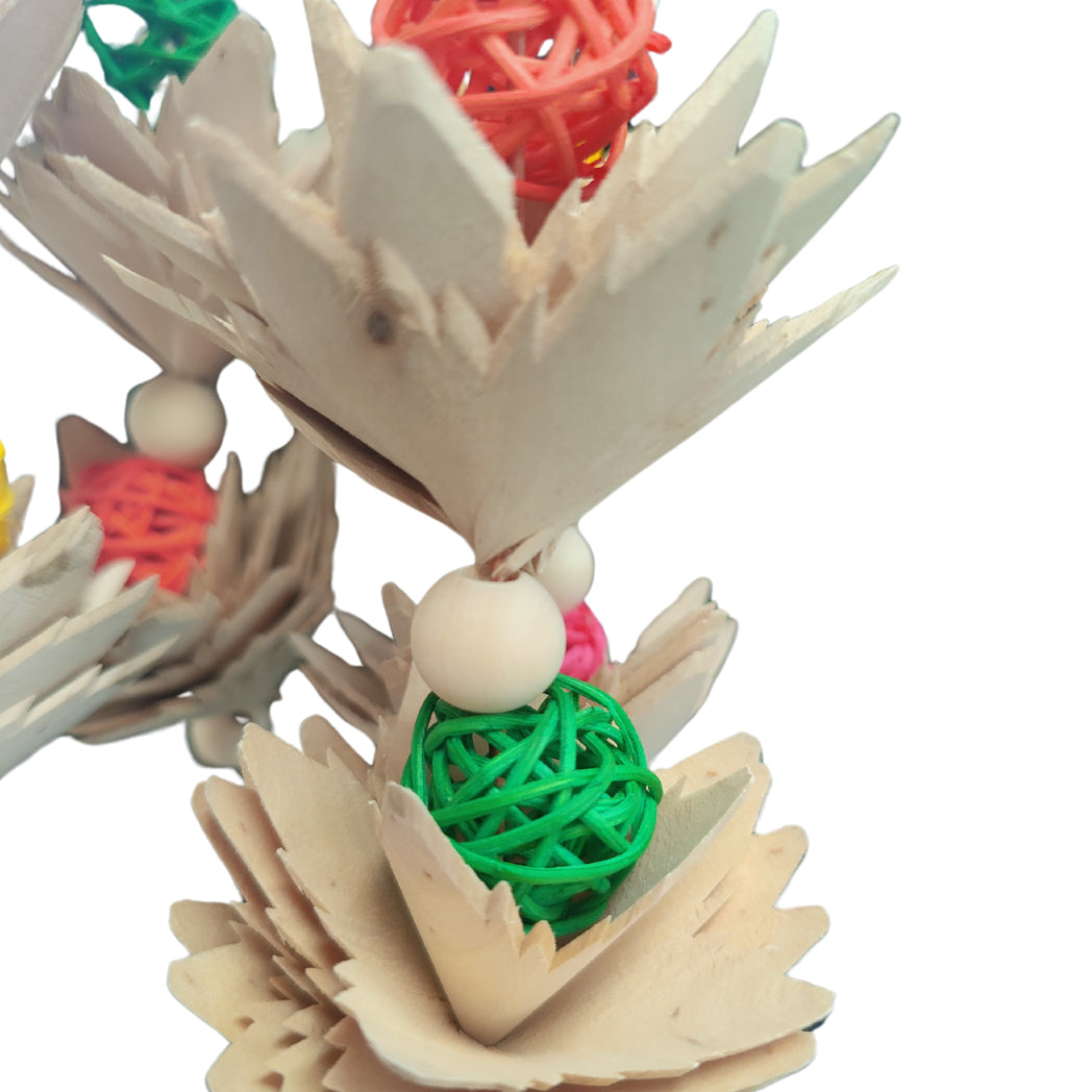 close up of the flower