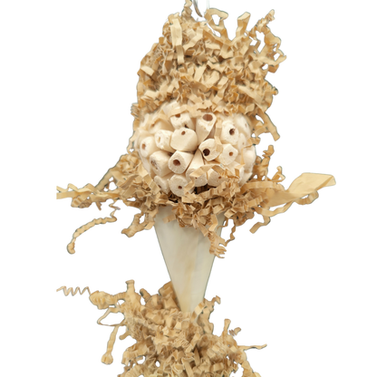 close up of the sola cone bird toy