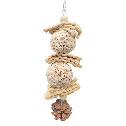 2 sola balls with a pine cone bird toy