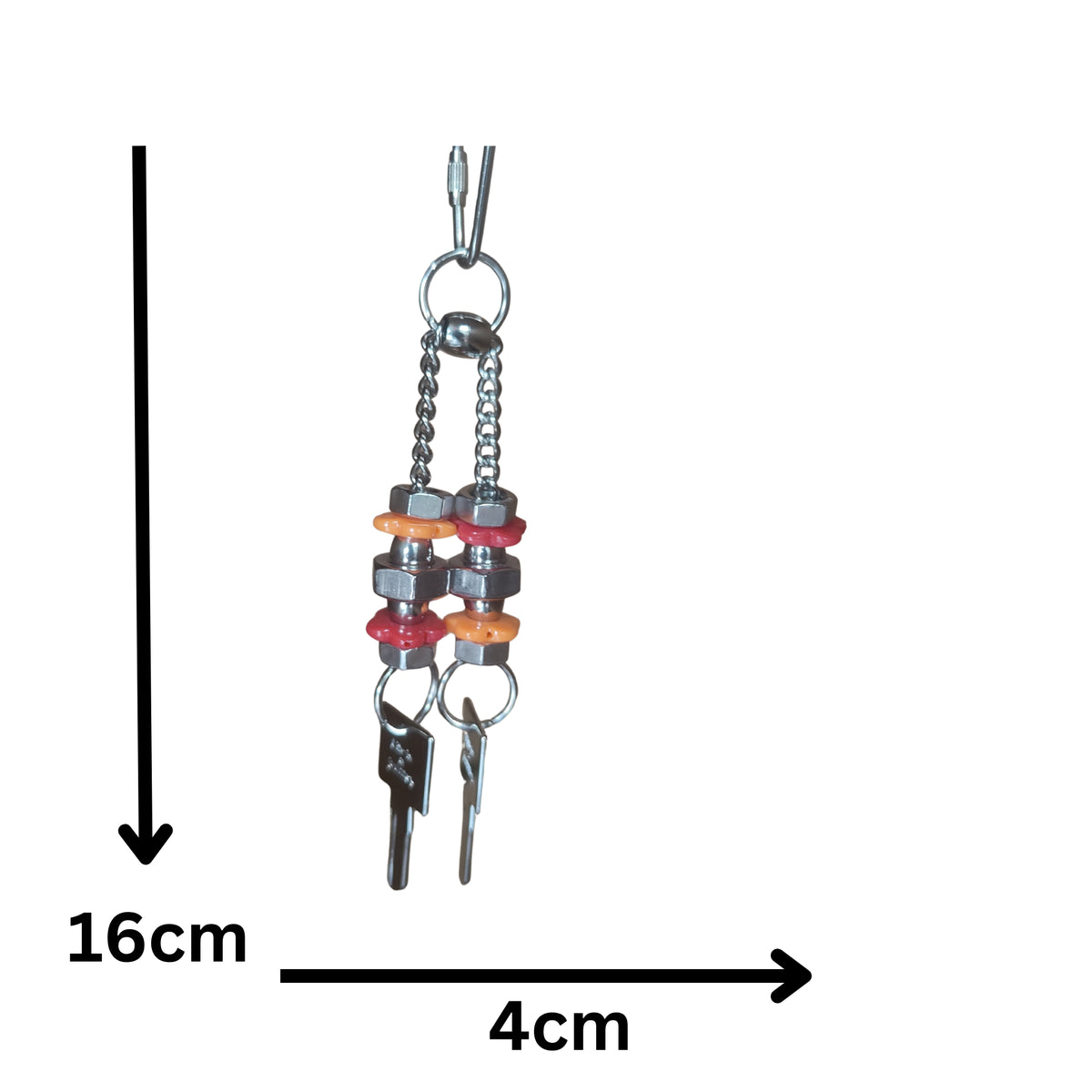 Stainless Steel Two Keys Bird Toys Lou Lou Bells Bird Toys