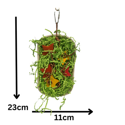 measurements of the star tray bird toy