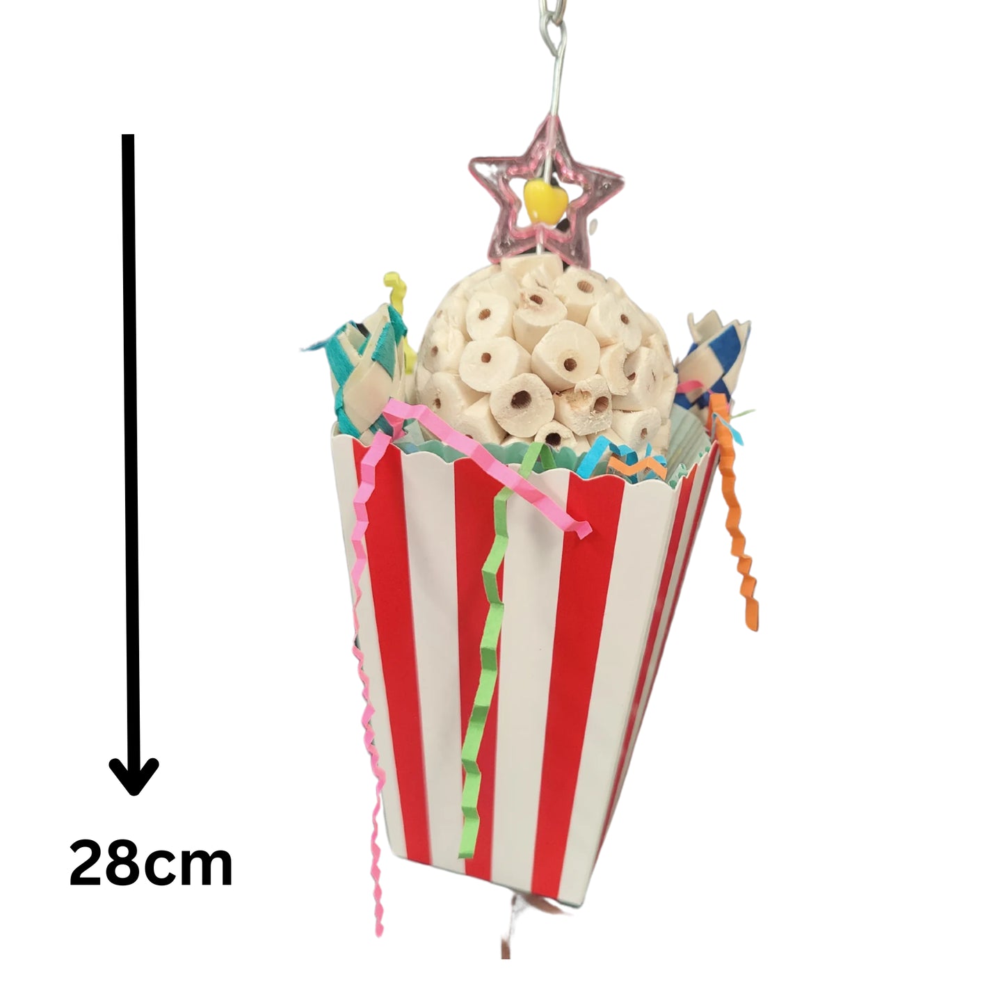 Surprise Box Bird Toy