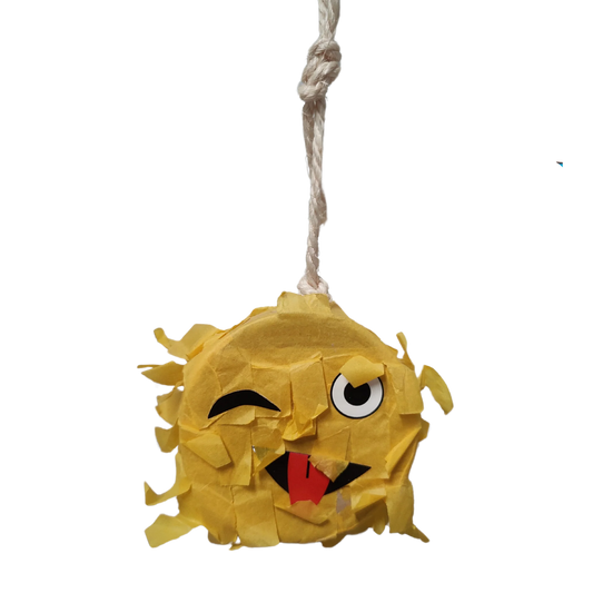 Winking Face Bird Toy